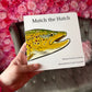 Match the Hatch Children’s Book