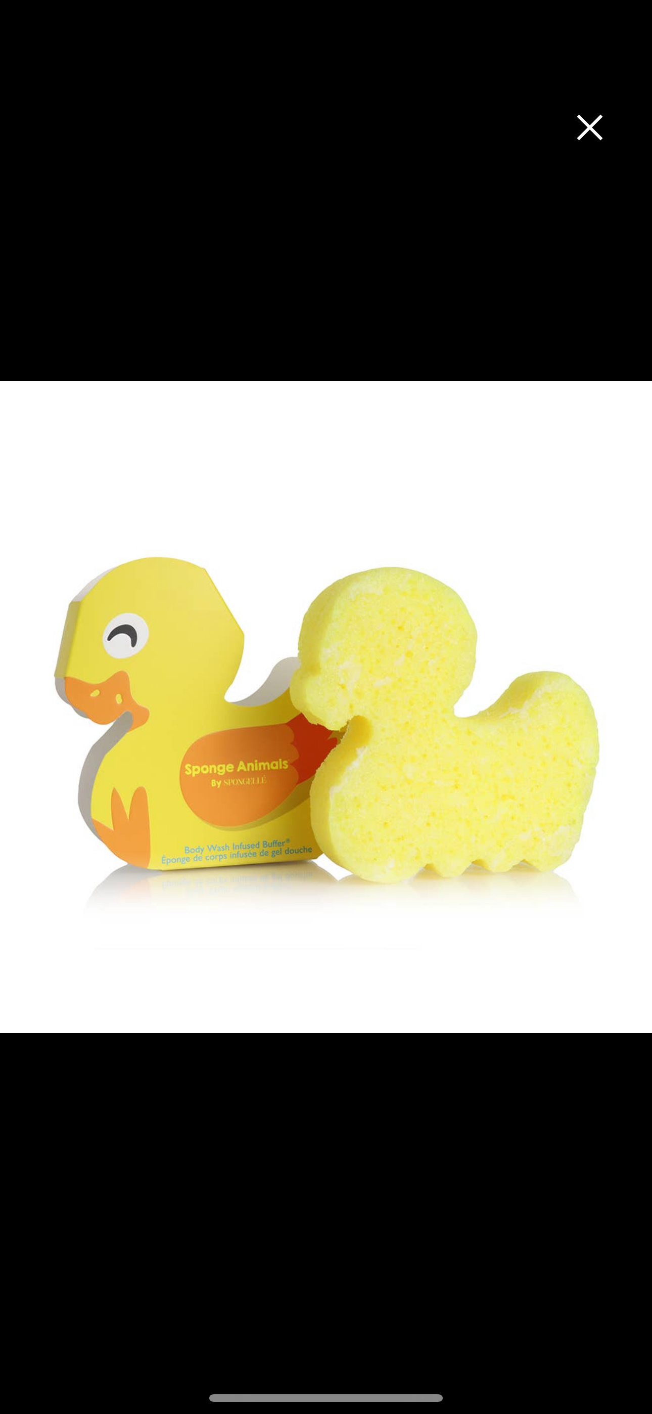 Kids Duck Sponge